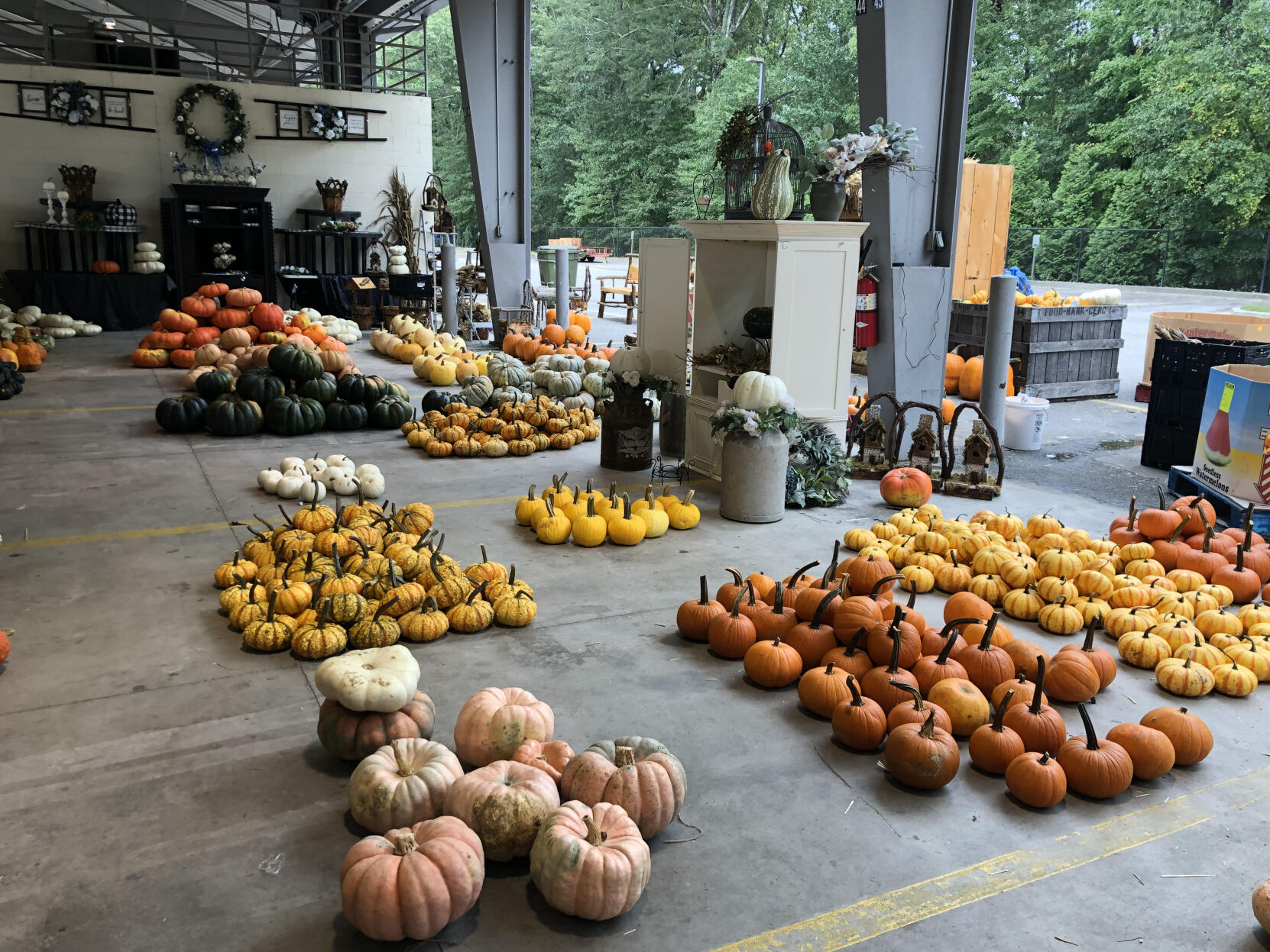 sc state farmers market fall pumpkins